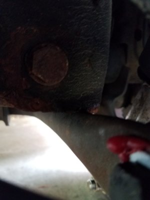 20180510_130629.jpg