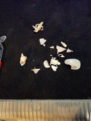 20180629_202608.jpg 20180629_202608.jpg