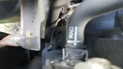 20180808_153535.jpg