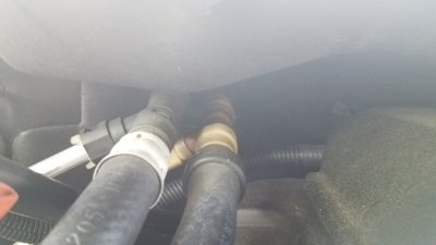 20180808_153528.jpg