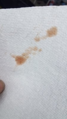 20180820_112814.jpg