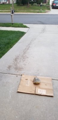 20180830_070335.jpg 20180830_070335.jpg