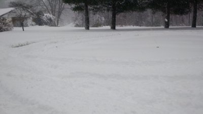IMG_20181209_115347904.jpg