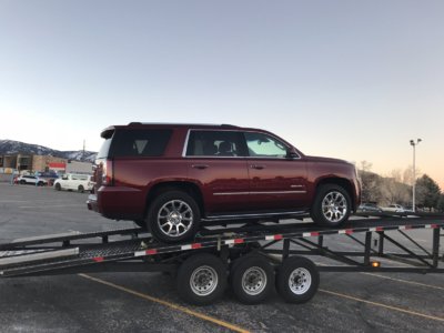 Denali.jpg