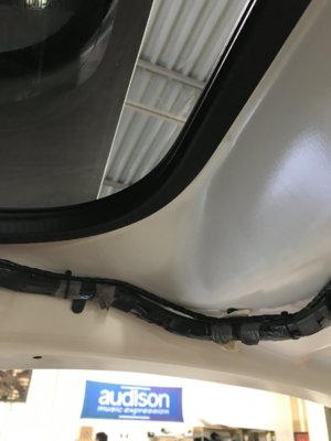 A0690B2E-C324-4DE0-82D9-042BD24AD034.jpeg A0690B2E-C324-4DE0-82D9-042BD24AD034.jpeg