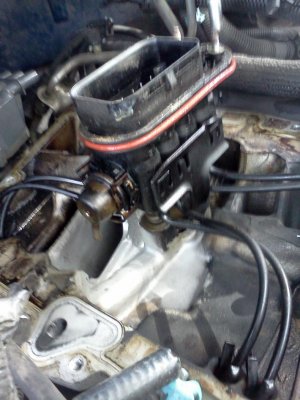 IMG_20131008_121524.jpg