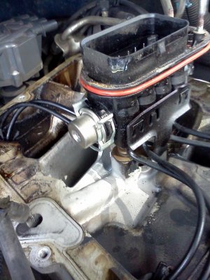 IMG_20131008_130758.jpg