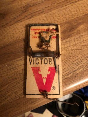 victor mouse trap.jpg