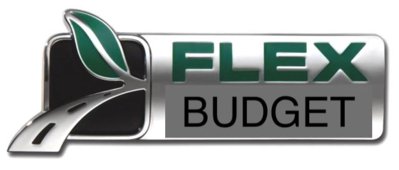 Flex-Fuel-Logo.jpg