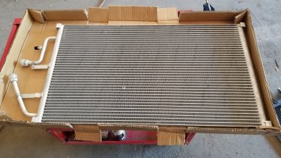 20190327_130043.jpg