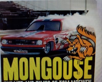 Mongoose pic.jpg