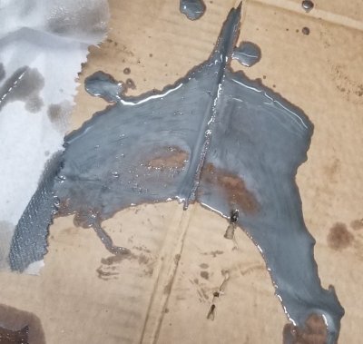 20190403_144915.jpg