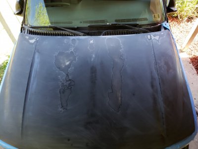 20190427_130638.jpg 20190427_130638.jpg