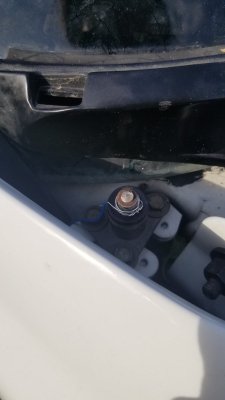 20190617_175111[1].jpg