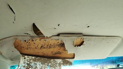 20190628_181331.jpg