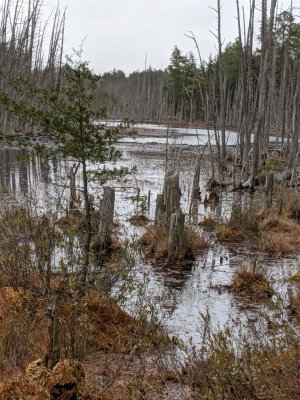 IMG_20191117_130026.jpg