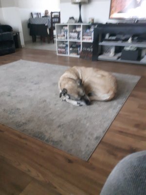 20200922_075217.jpg