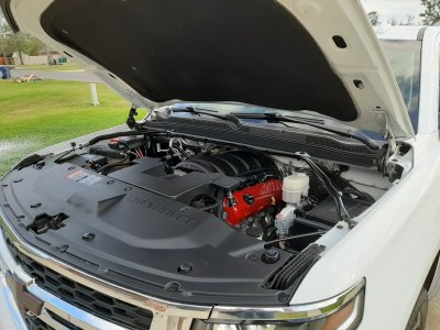20201114_154554.jpg