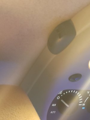 16106720692905401894133235064586.jpg