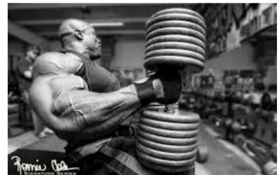200 lb dumbbell press - Google Search.png