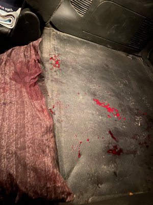 BD0E3418-F4EF-4F55-A2DE-CBE25C2CA9AF.jpeg BD0E3418-F4EF-4F55-A2DE-CBE25C2CA9AF.jpeg