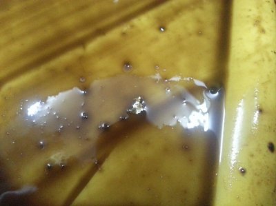 20150124_172744.jpg