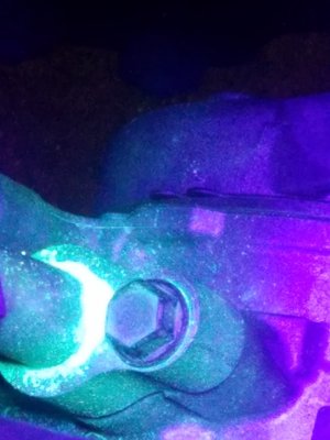 20210427_181053.jpg