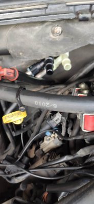 IMG_20210515_171818.jpg