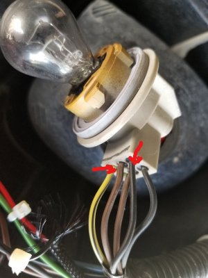 Tail light socket_LI.jpg