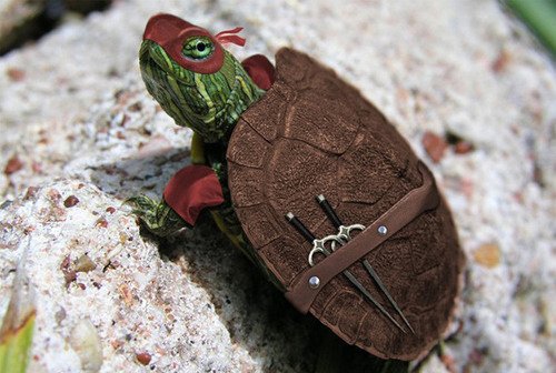 ny-lol-ninja-turtles-rafael-turtle-Favim.com-38005.jpg