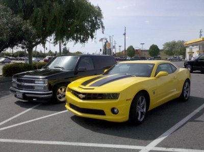bumblebee2.jpg