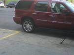 denali2.jpg