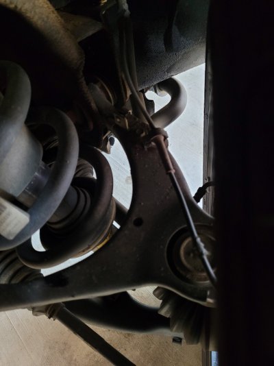20210131_164524.jpg