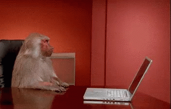 monkey-pissed.gif monkey-pissed.gif
