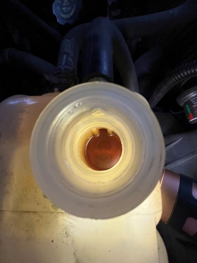 Coolant prior to Start Up.JPG