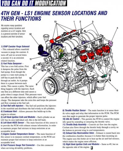 26415027228_d0e568243d_b (1).jpg