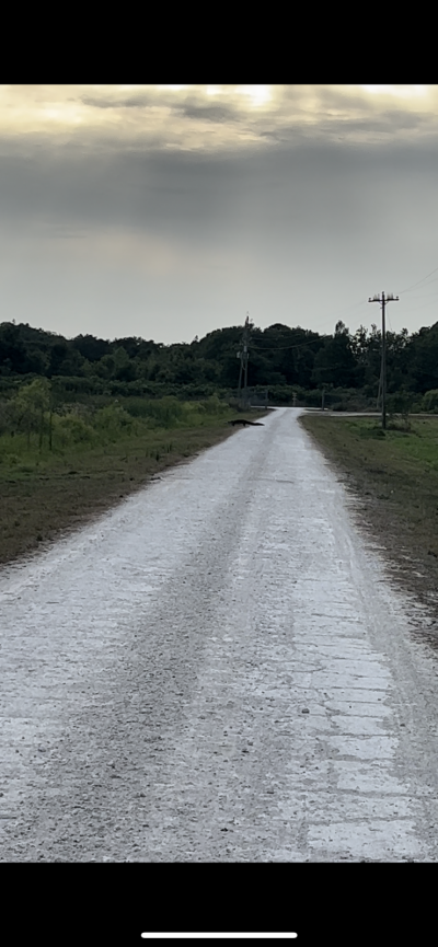 97B296D5-618D-415A-BF25-821B9B38F57B.png