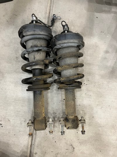Old struts.jpg