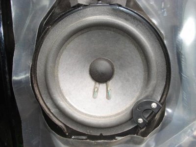 Bose.jpg