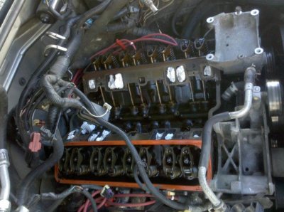 2010-06-08 09.40.10.jpg