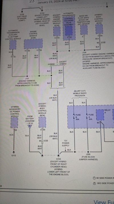 PXL_20240113_012125115.jpg