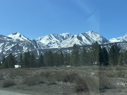 IMG_9062.jpeg