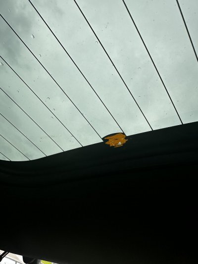 IMG_5898.jpeg
