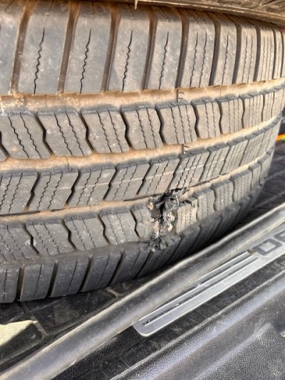 Tire 2.JPEG