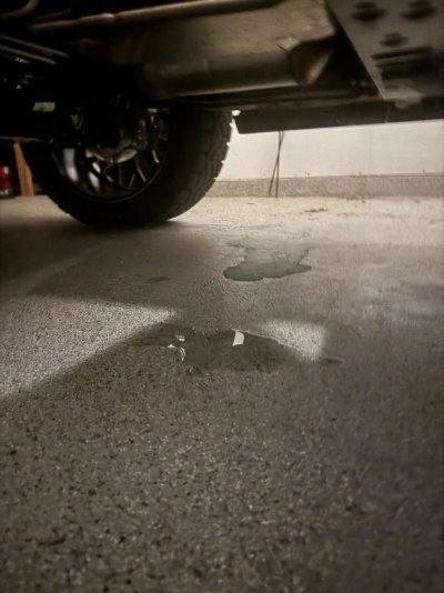 IMG_3526.jpeg