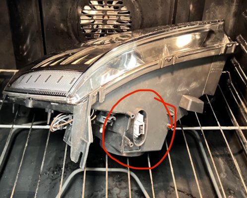 IMG_8542.jpeg