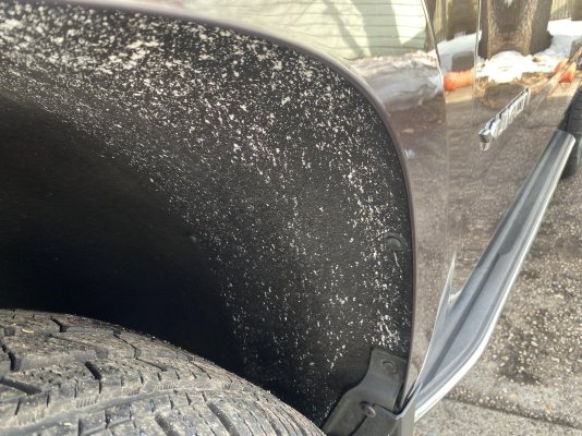 IMG_2534.jpeg