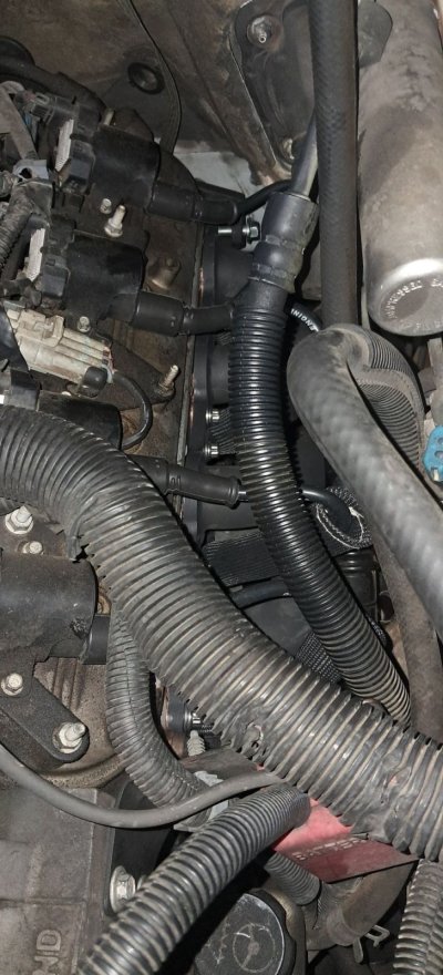 Driverside.jpg