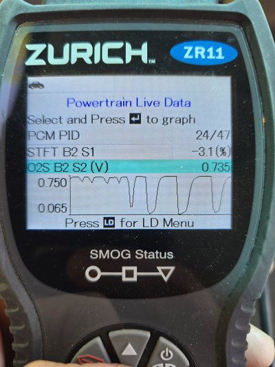 1000052347.jpg