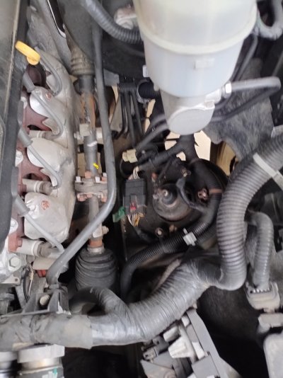 IMG_20260607_073148007_HDR[1].jpg